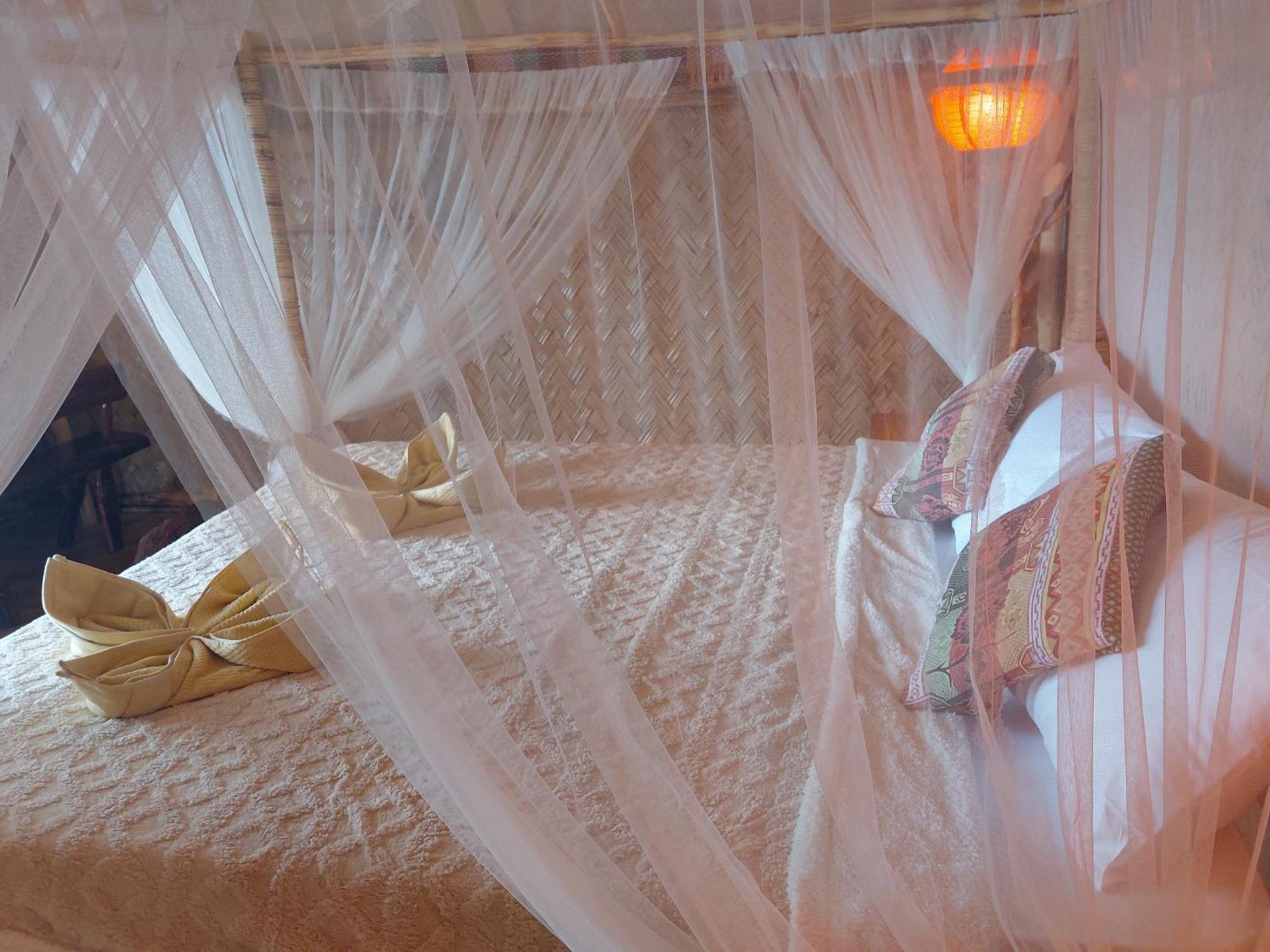 Jungle Bar Honeymoon Suite & Private Pool San Vicente  Exterior foto